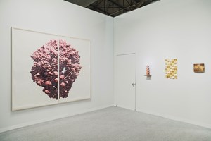<a href='/art-galleries/sean-kelly/' target='_blank'>Sean Kelly</a> at The Armory Show, New York (2–5 March 2017). © Ocula. Photo: Charles Roussel.